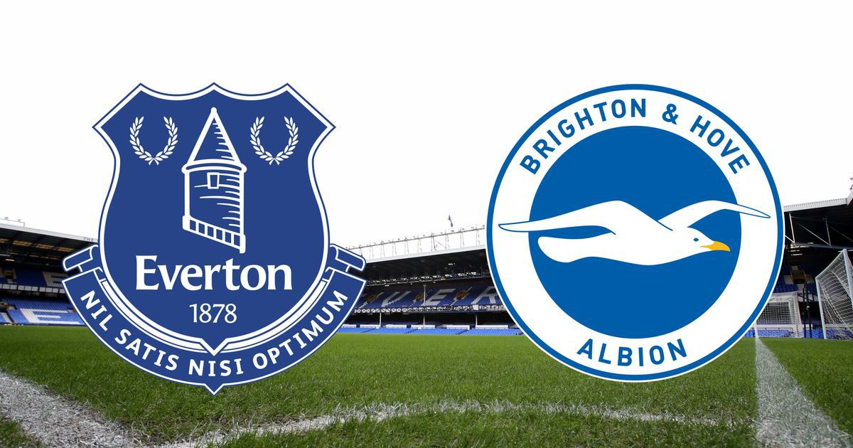 Prediksi EPL : Everton vs Brighton 03-11-2018