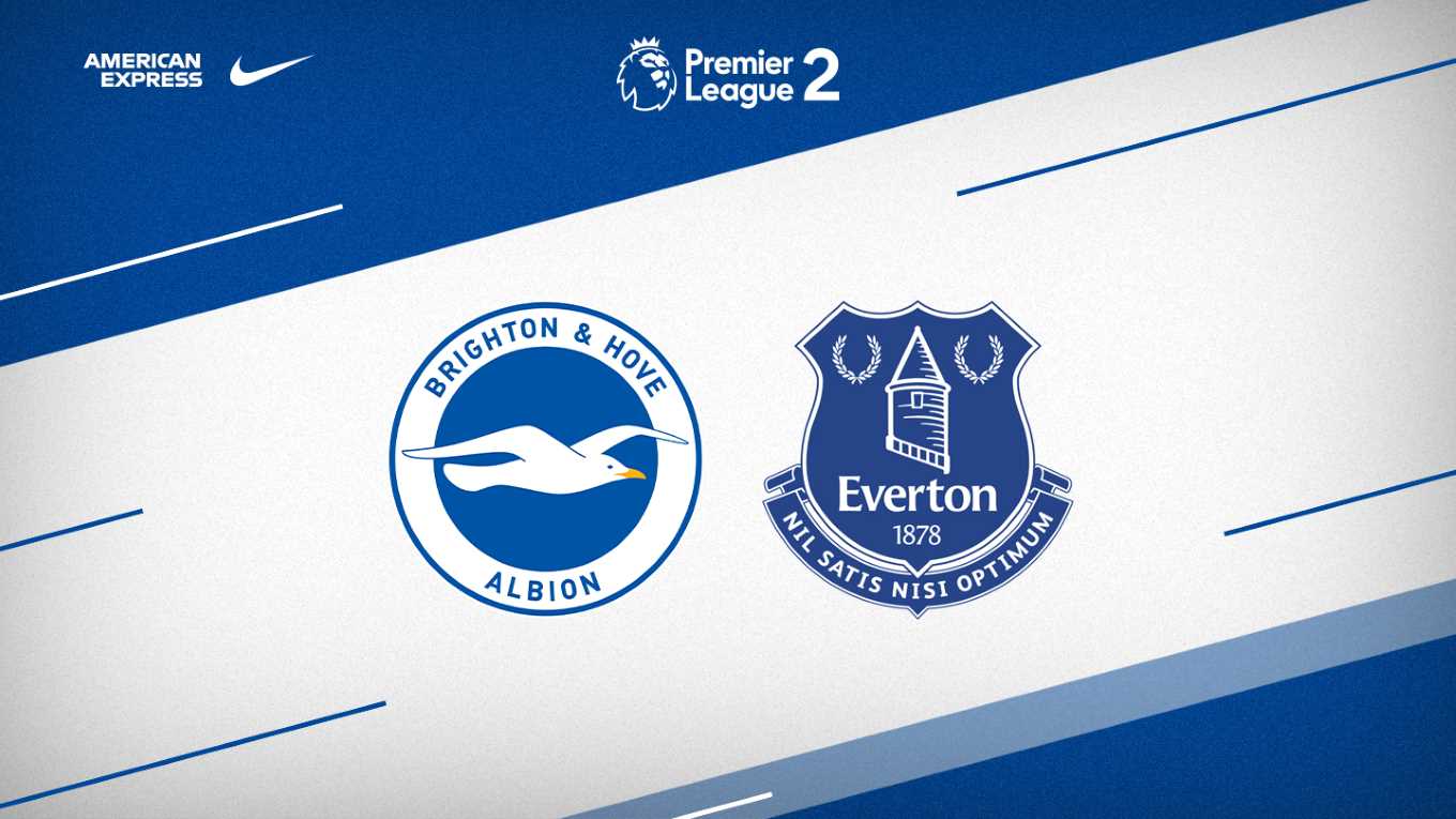 Prediksi EPL : Brighton vs Everton 29-12-2018