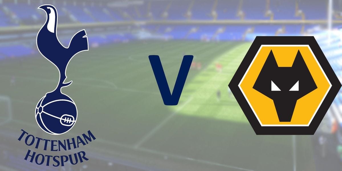 Prediksi EPL : Tottenham vs Wolverhampton 29-12-2018