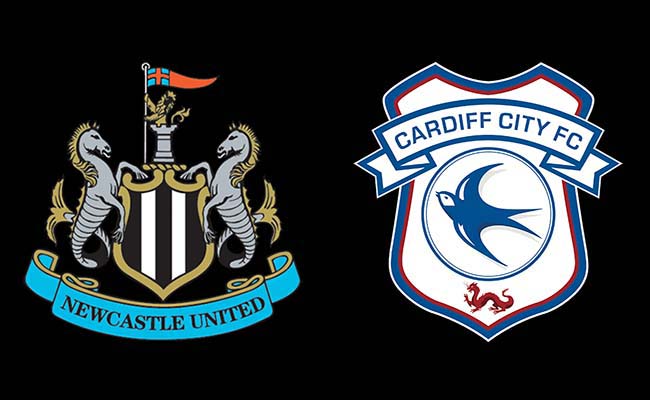 Prediksi EPL : Newcastle vs Cardiff 19-01-2019
