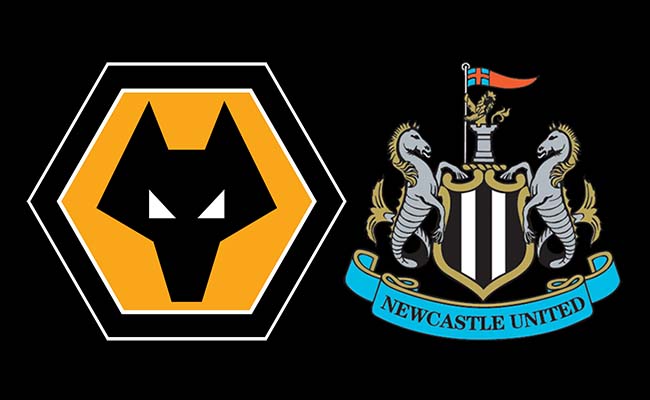 Prediksi EPL : Wolverhampton vs Newcastle 12-02-2019
