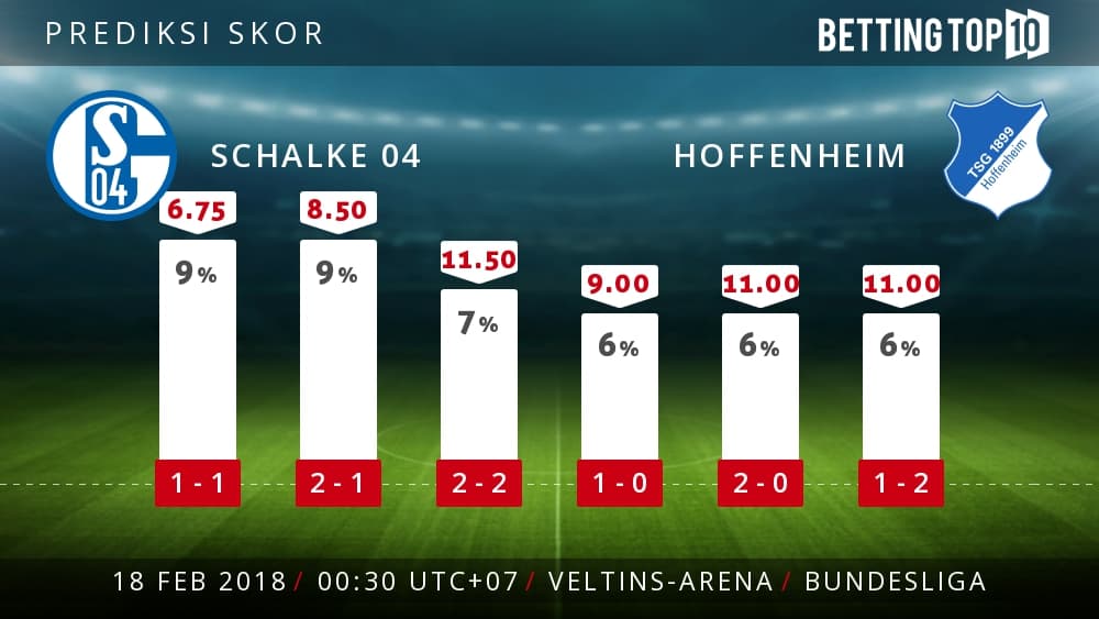 Prediksi Bundeliga : Schalke 04 VS Hoffenheim